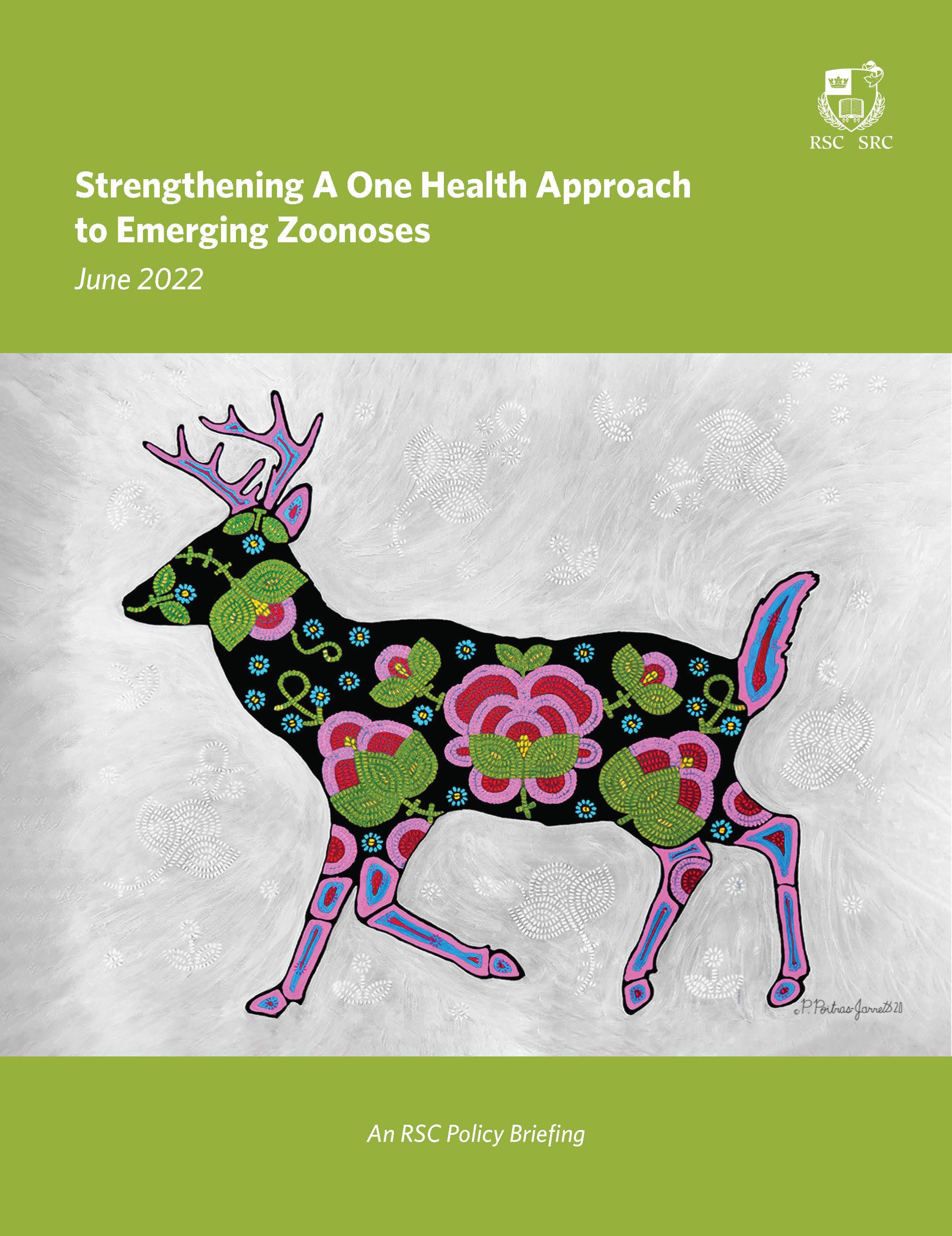 Strengthening A One Health Approach To Emerging Zoonoses | The Royal ...